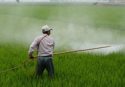 « Des niveaux alarmants de pesticides dans les sols »