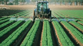 Carte Adonis d’utilisation des pesticides en France