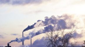 « Polluants éternels : l’essentiel sur les PFAS en 5 questions »