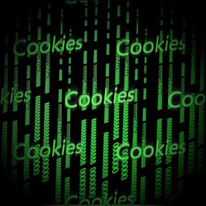 #cookies-publicitaires