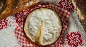 Camembert de Normandie : une AOP toujours mal protégée