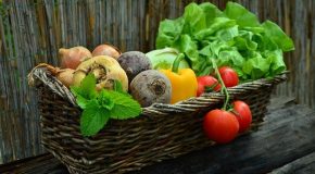 Labels alimentaires : la biodiversité inégalement prise en compte