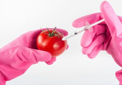 Nouveaux OGM : certains seront exemptés d’étiquetage