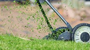 « Horaires de tonte de la pelouse : réglementation et voisinage »