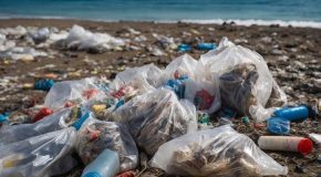 Pollution plastique : de plus en plus catastrophique