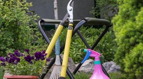 Jardin écoresponsable (infographie) Les enseignes de jardinerie et de bricolage sont-elles de bon conseil ?