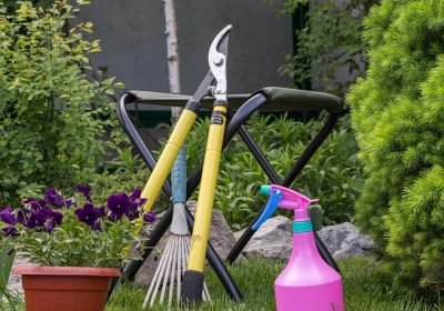 Jardin écoresponsable (infographie) Les enseignes de jardinerie et de bricolage sont-elles de bon conseil ?