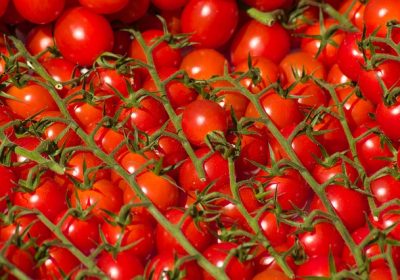 Pesticides : de nombreux résidus dans les tomates espagnoles et marocaines