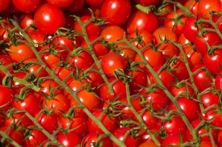 tomates