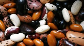 Légumineuses : une préparation longue, mais indispensable